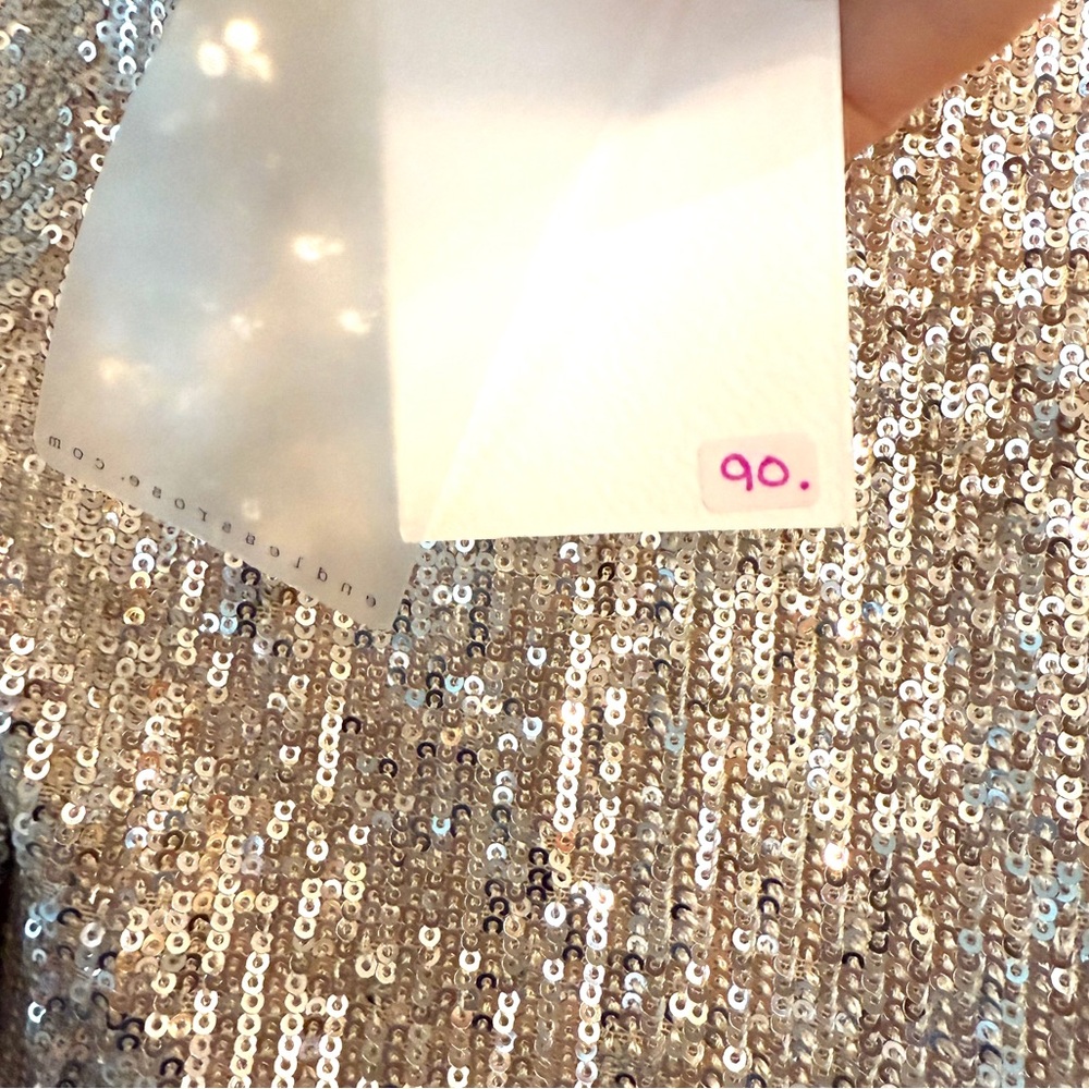 NWT Endless Rose Silver Sequin Glam Top - Gorgeous!! - Picture 5 of 9